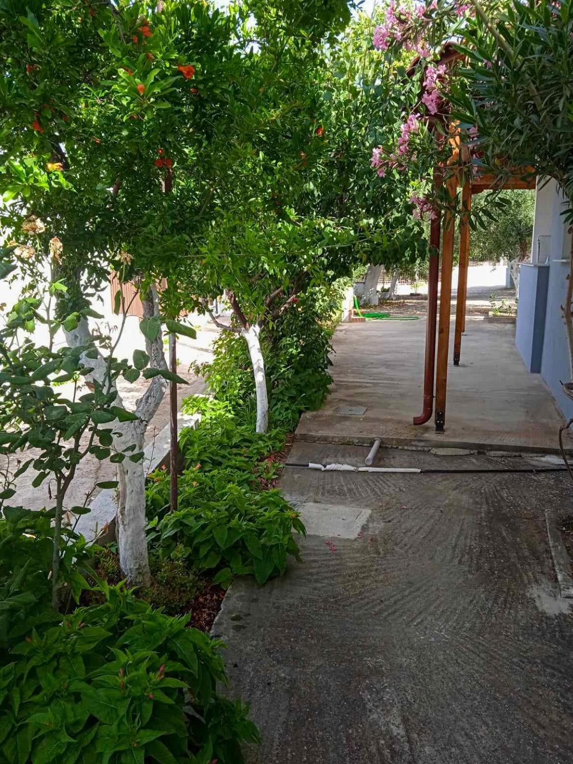 Κυανή Ακτή - Agia Paraskevi マクリ エクステリア 写真