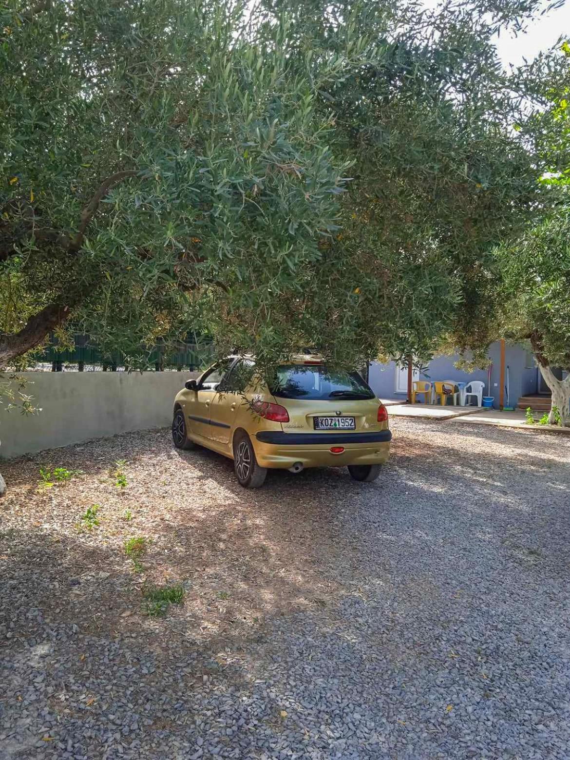 Κυανή Ακτή - Agia Paraskevi マクリ エクステリア 写真