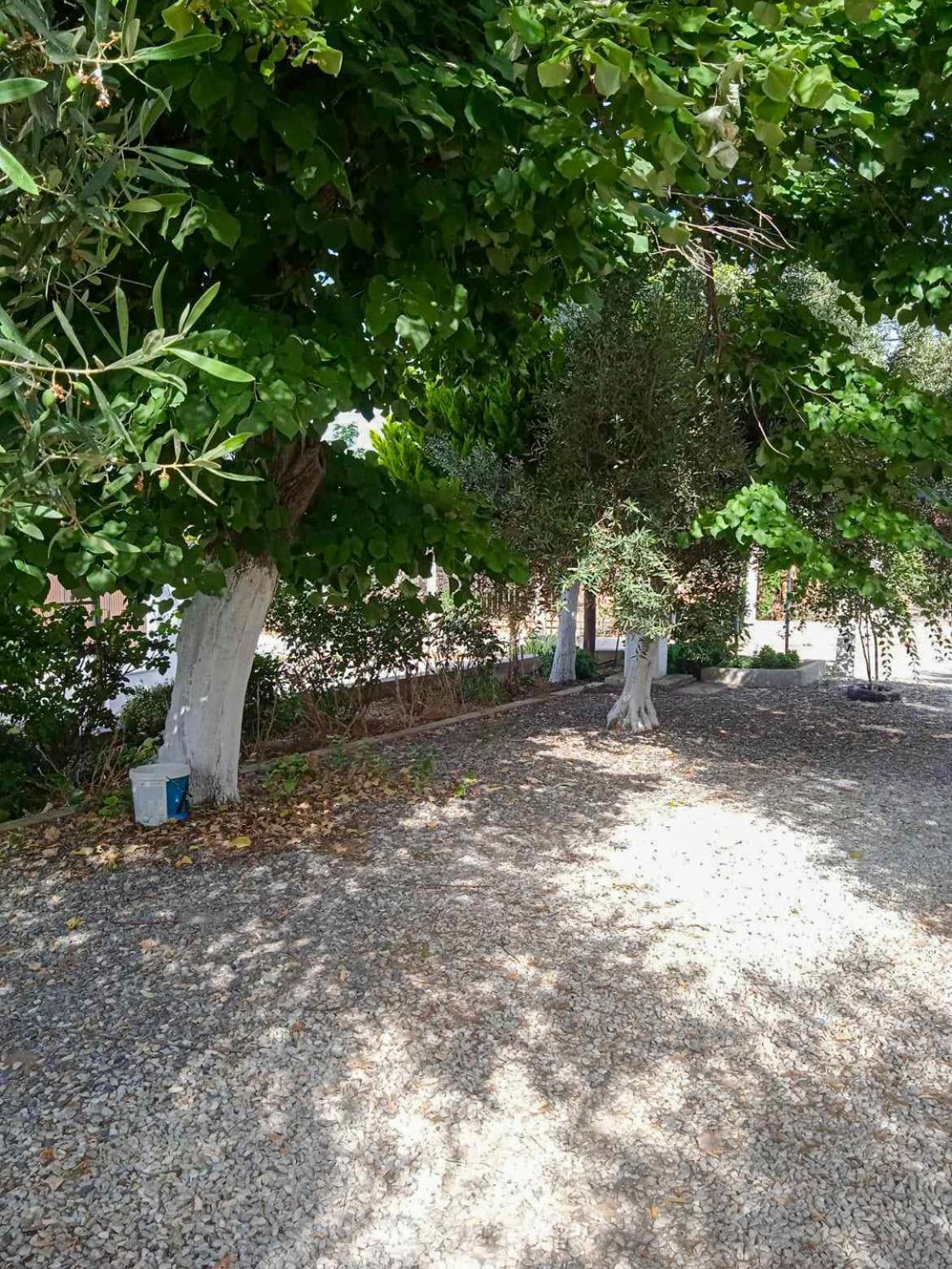 Κυανή Ακτή - Agia Paraskevi マクリ エクステリア 写真